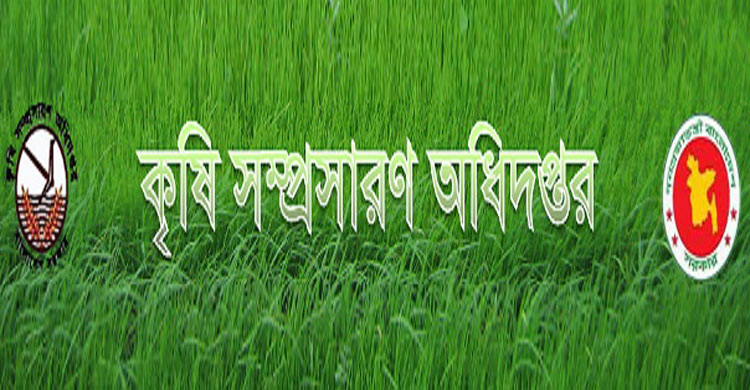 কৃষি সম্প্রসারণ অধিদফতরের ৩ পদে চাকরি