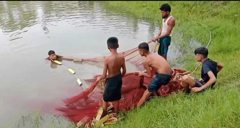 হাতিয়ায় মসজিদের পুকুরে ধরা পড়ল ১০ ইলিশ