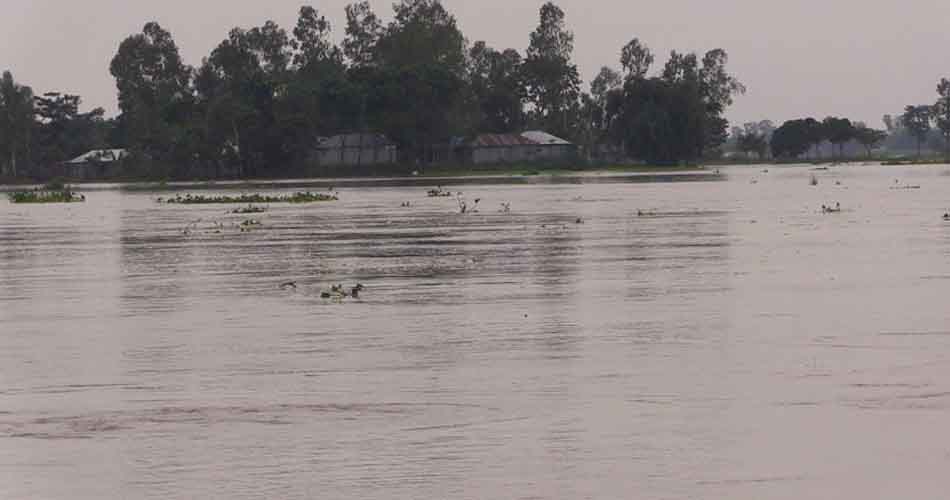 তিস্তার পানি বিপৎসীমা ছুঁই ছুঁই, বন্যার শঙ্কা