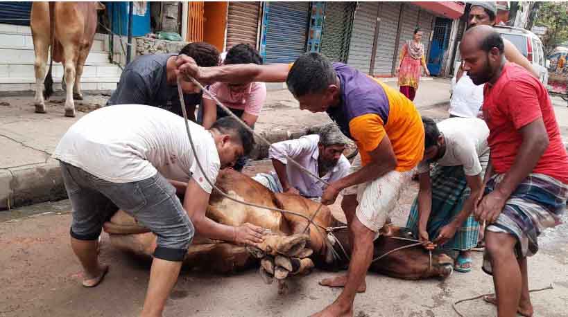 সারাদেশে মোট কোরবানি ১ কোটি ৪ লাখ পশু