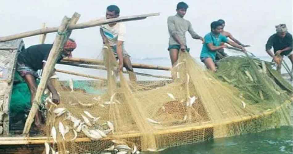 ২২ দিন ইলিশসহ সব ধরনের মাছ ধরা নিষিদ্ধ