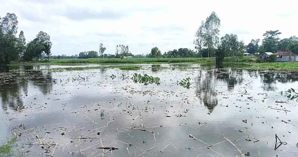 গাইবান্ধায় তিস্তার পানি বিপৎসীমা ছুঁই ছুঁই