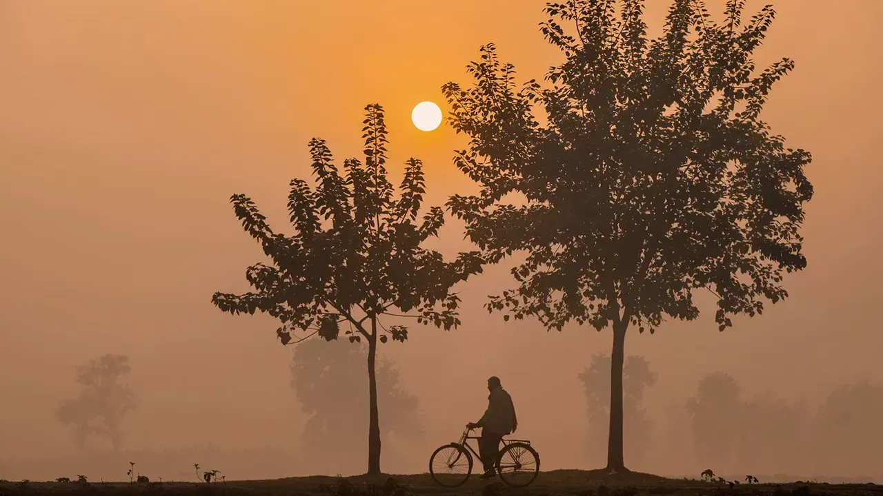 মাঘের শেষেও শীতের কামড়: ৭ জেলায় মৃদু শৈত্যপ্রবাহের পূর্বাভাস